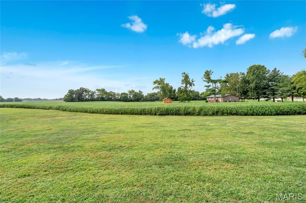 Property Photo:  Lot 1 E Back Street  IL 62248 