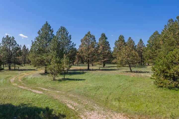 Property Photo:  24707 Timber Ridge Road  SD 57744 