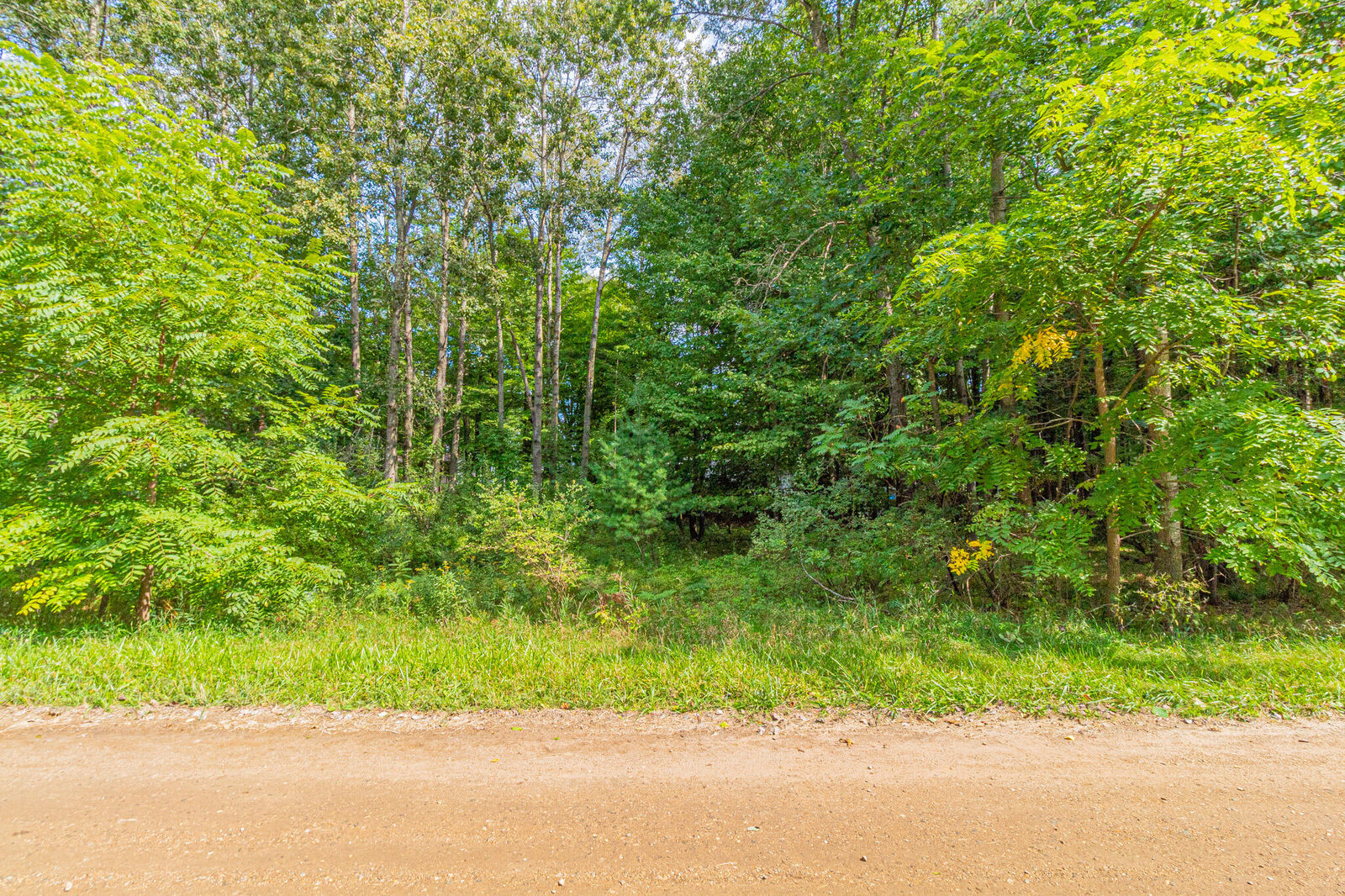 Property Photo: 7574 9th Street MI 49346