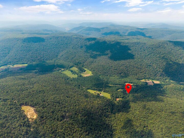 Property Photo:  3818 -4 County Road 4 Tract 4  AL 35751 