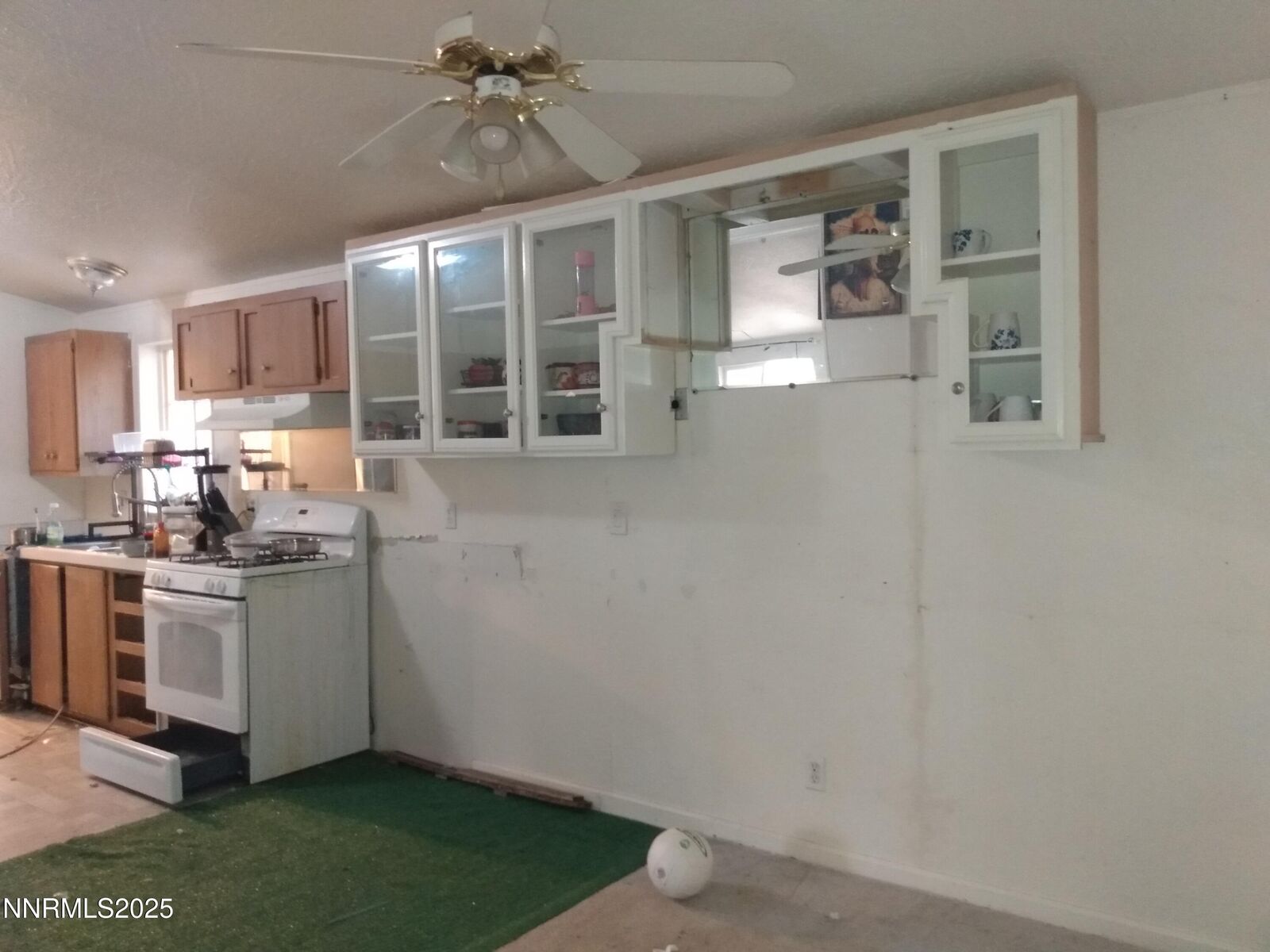 Property Photo: 115 E 4th Avenue NV 89433