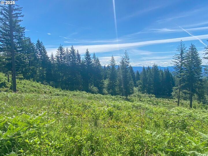 Property Photo: NE Hancock Rd 2 WA 98607