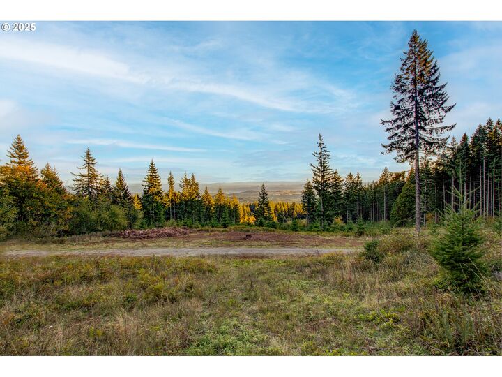 Property Photo:  NE Hancock Rd 2  WA 98607 