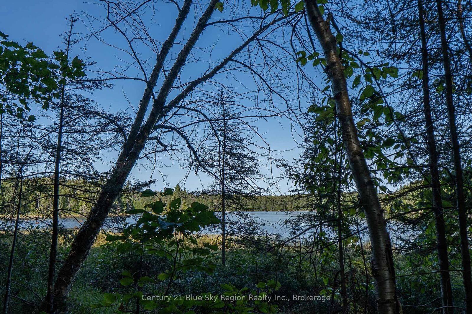 Photo de la propriété:  1060 Lot 7 Four Mile Lake Road  ON P1B 8G2 