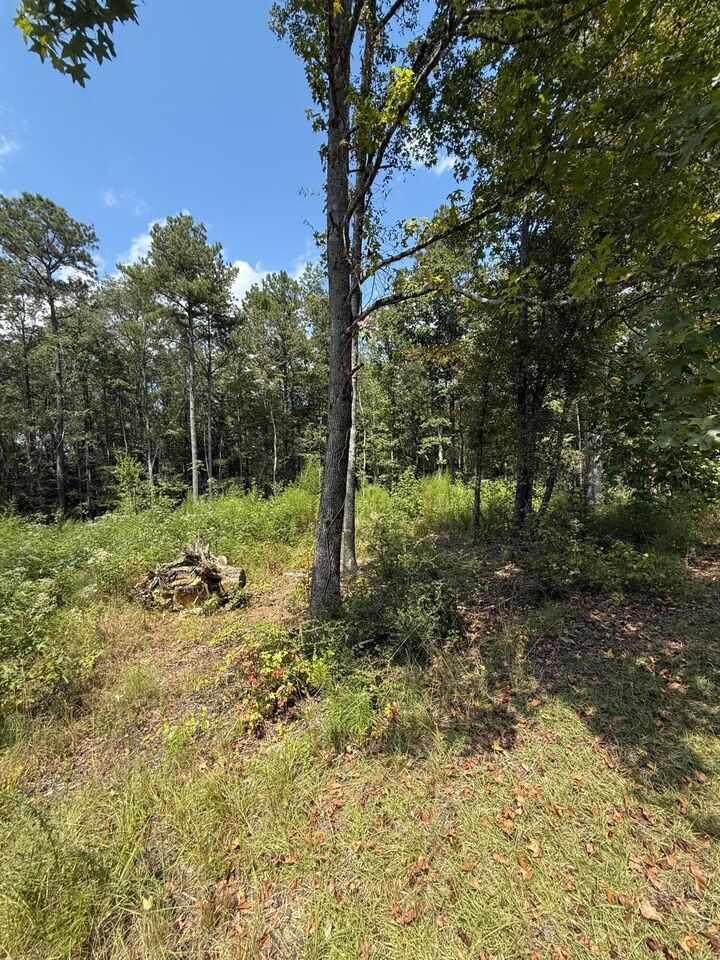 Property Photo: Woodland Cir AL 35504