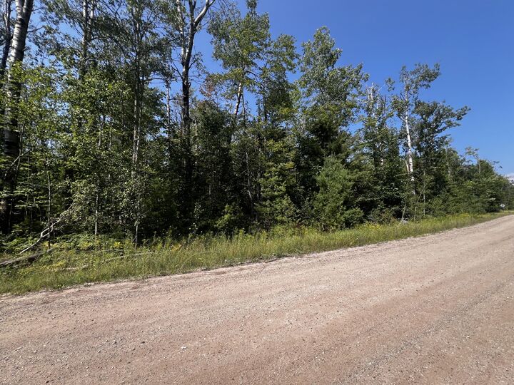 Property Photo: 15058 Avenue Du Chalet MI 49799