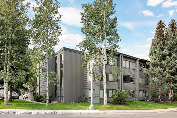 725 E Main Street 205  Aspen CO 81611 photo