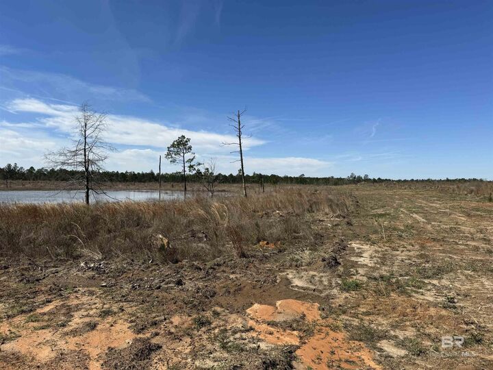 Property Photo:  4 County Road 64  AL 36567 