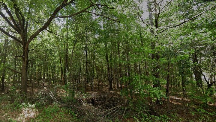 Property Photo: 0 Hodges Road SC 29556