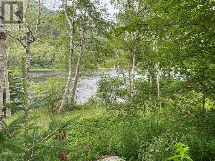 21-23 Dogwood Drive  Steady Brook NL A2H 2N2 photo
