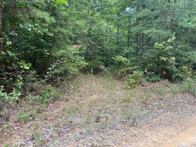 123 Retro Hughes Road  Graysville TN 37338 photo