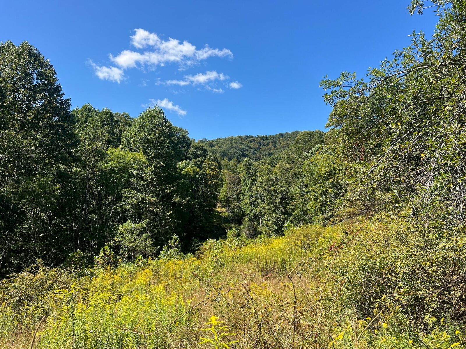 Property Photo: Hamilton Ridge Road WV 24910