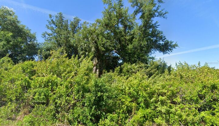 Property Photo:  7105 Manniz Road  FL 33981 