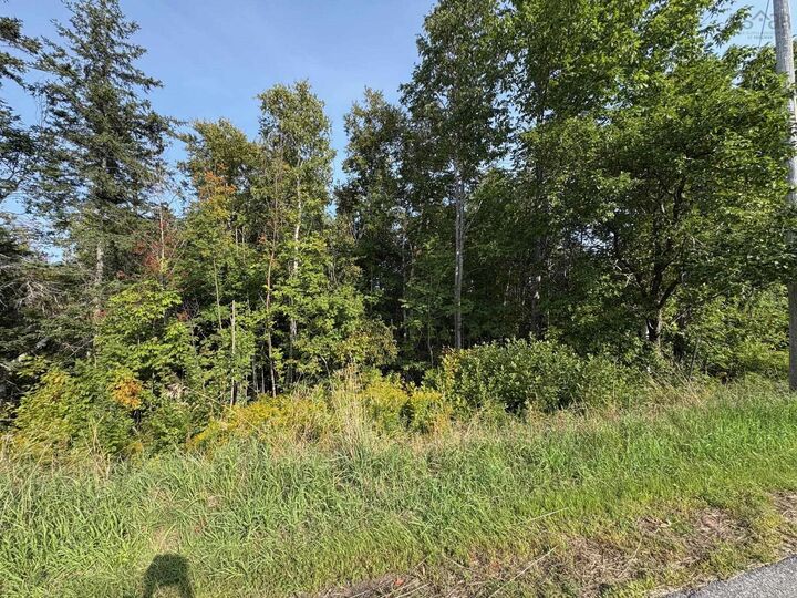 Thorburn Road — photo 1