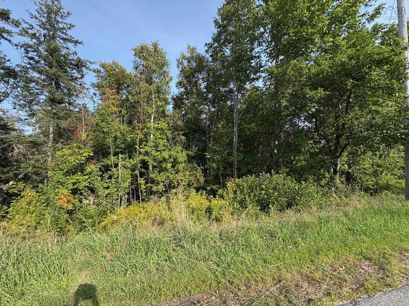 Property Photo:  Thorburn Road  NS B0K 1W0 