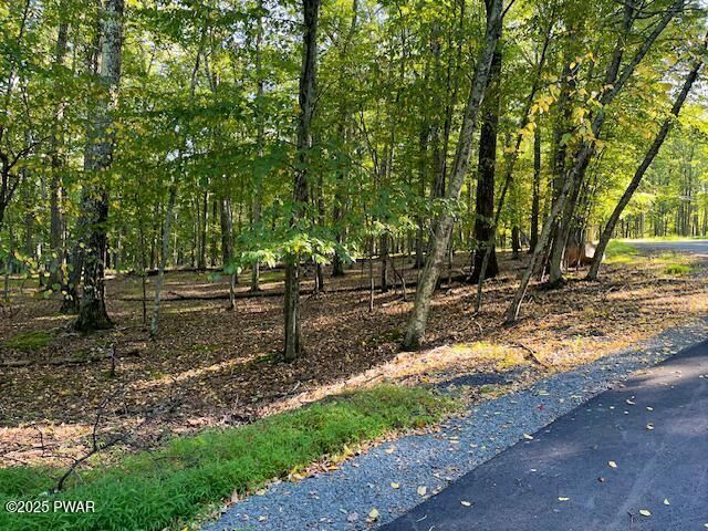 Lot 57 Oak Court  Lackawaxen PA 18435 photo
