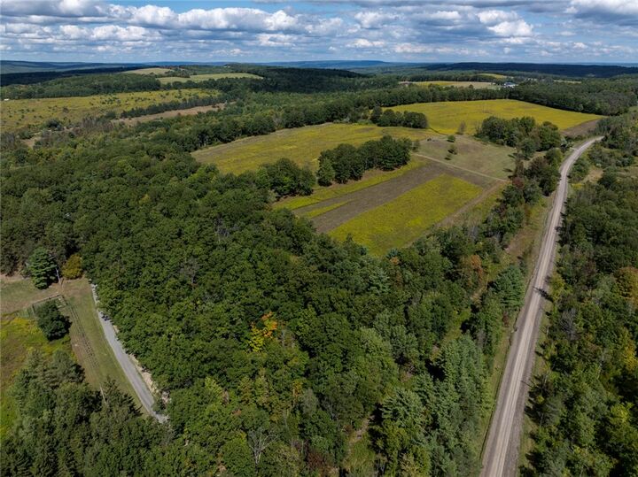 8015 Peacock Road  Bath NY 14810 photo
