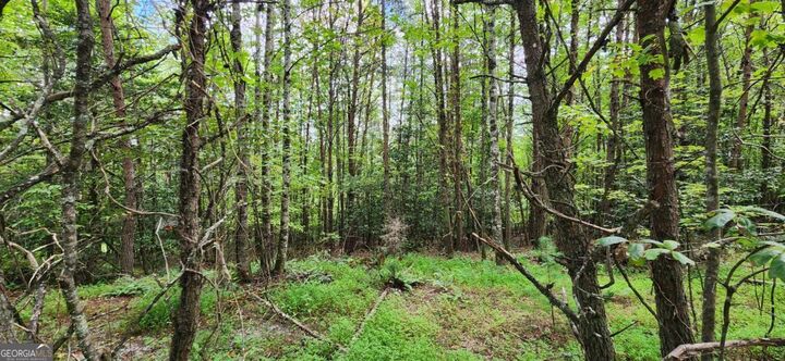 Property Photo: Lot 45 Old Mill Pond Road GA 30559