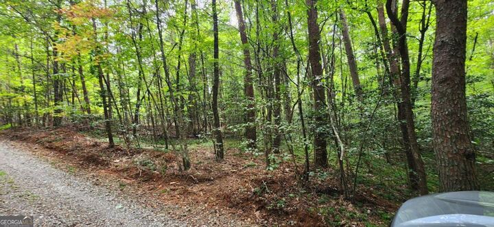 Property Photo: Lot 44 Old Mill Pond Road GA 30559