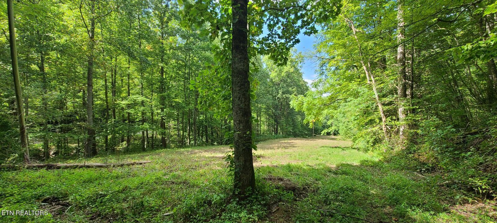Property Photo:  Par 033.01 South Highway 32  TN 37722 
