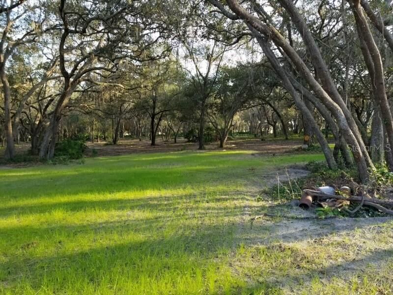 Property Photo:  3162 Bright Lake Circle  FL 34736 