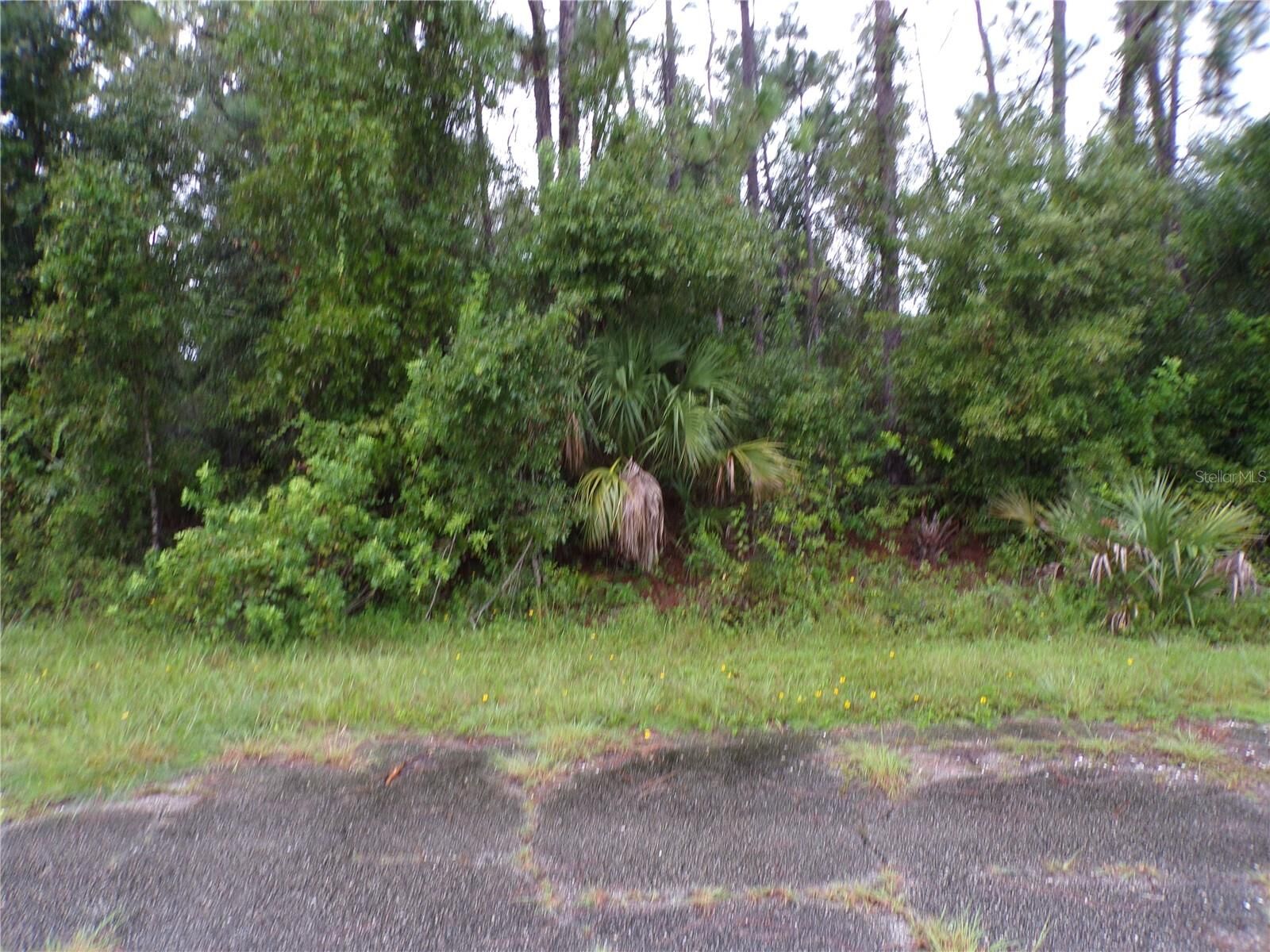 Property Photo:  Nocturn Street  FL 34288 