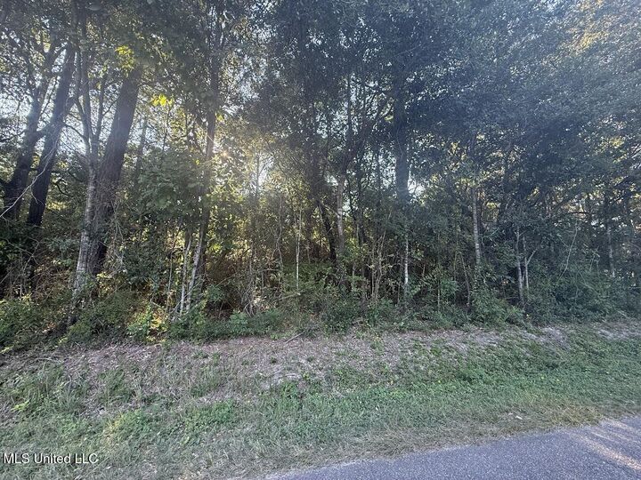 Property Photo:  N Pine Drive  MS 39571 