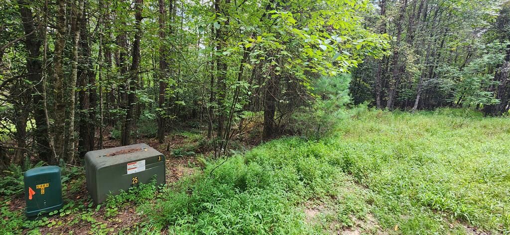 Property Photo: Lot 45 Old Mill Pond Road GA 30559