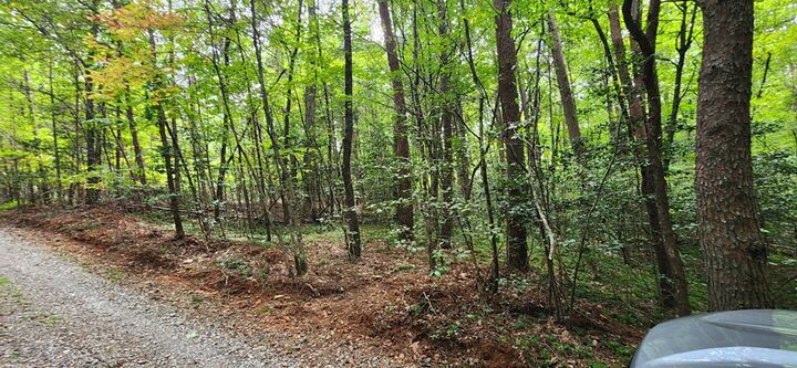 Property Photo:  Lot 44 Old Mill Pond Road  GA 30559 