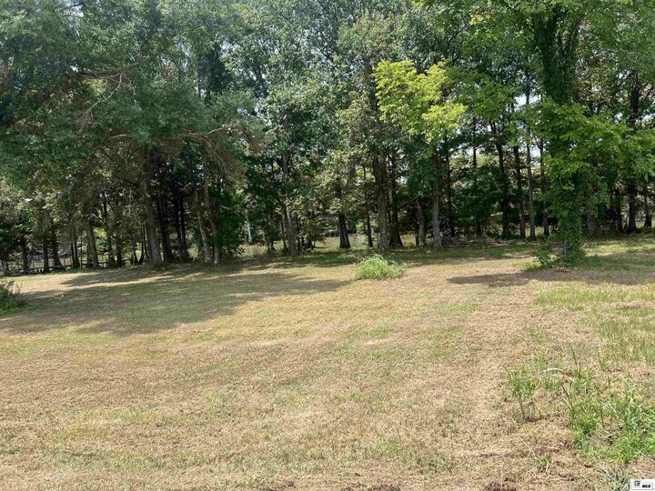 Property Photo:  Lot 10 &Amp 11 Virgil Road  LA 71261 
