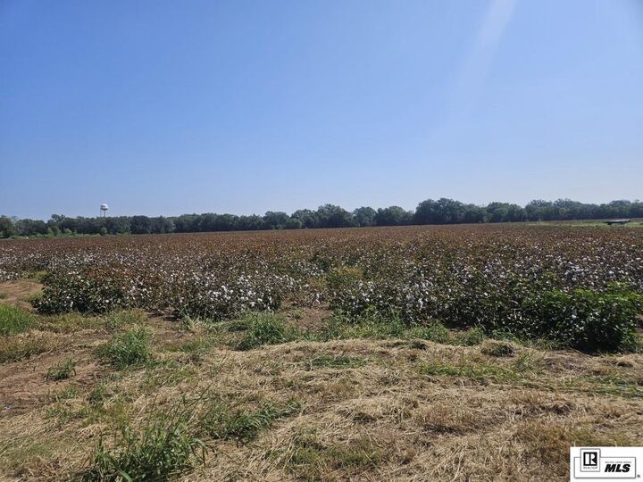 Property Photo: 0 Magnolia LA 71269