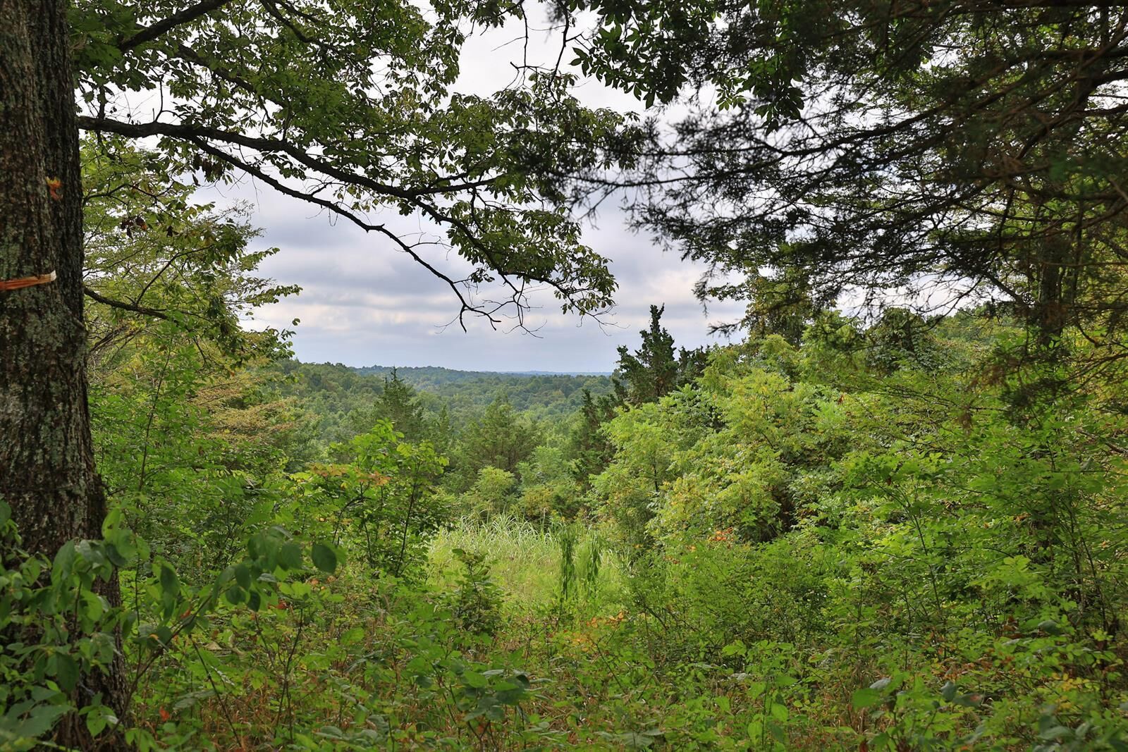 Property Photo: 937 Neave Milford Road KY 41040