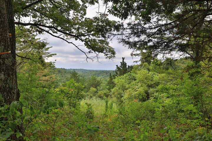 937 Neave-Milford Road  Falmouth KY 41040 photo