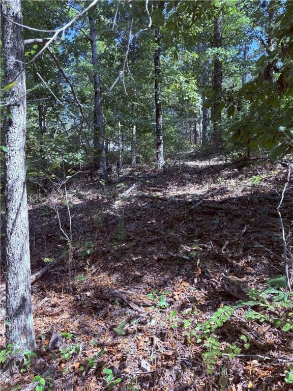 Property Photo:  Lot 41 Hawnby Lane  AR 72715 
