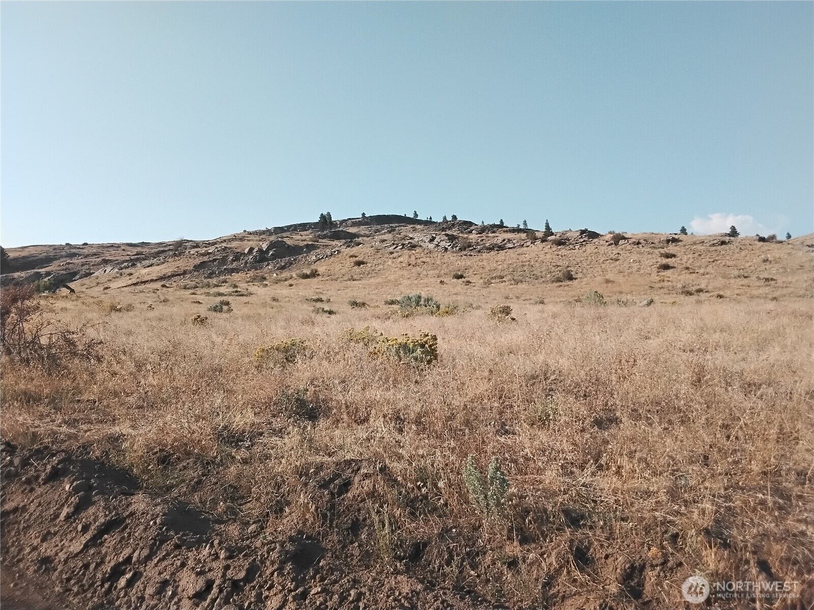 Property Photo: 6 Painted Rock Road WA 98855