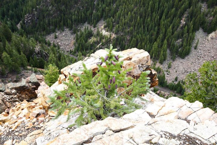 Property Photo:  8458 Hwy 24  CO 81645 