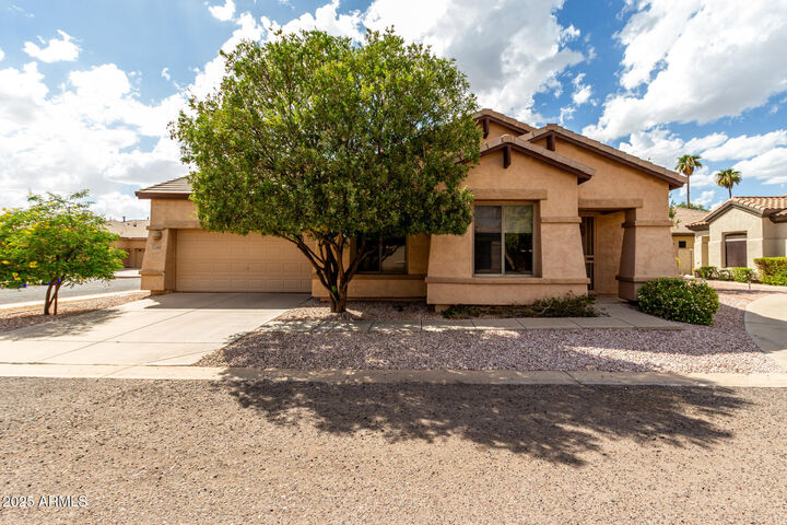 894 E Sheffield Avenue  Chandler AZ 85225 photo