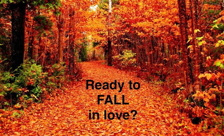 43 Ridgeway Drive  Ringgold GA 30736 photo