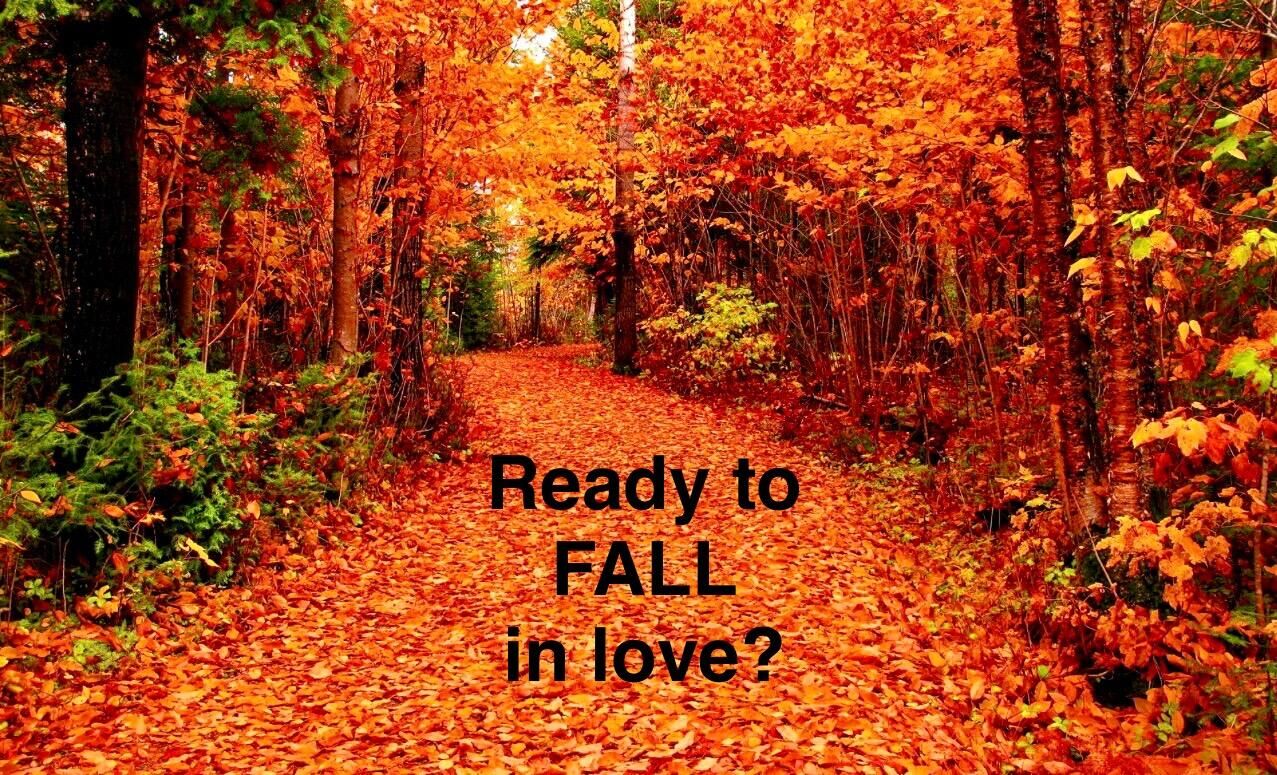 Property Photo:  43 Ridgeway Drive  GA 30736 