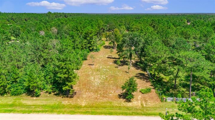 Property Photo: 4256 Holstein Drive TX 77328