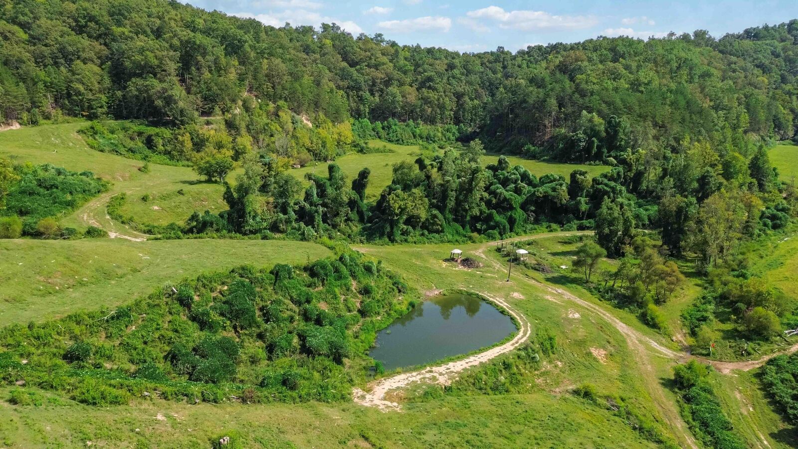 Property Photo: 9999 Matlock Hollow Road Matlock Hollow KY 40906