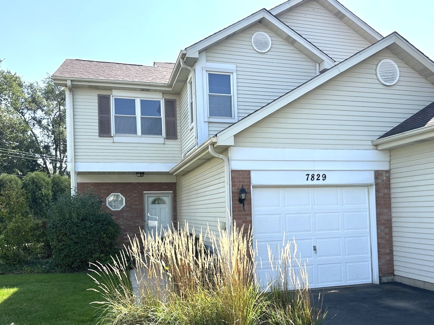Property Photo:  7829 Darien Lake Drive 7829  IL 60561 