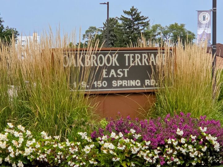 Property Photo:  1S150 Spring Road 5B  IL 60181 