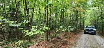 Property Photo:  Lot 36A Old Mill Pond Road  GA 30559 