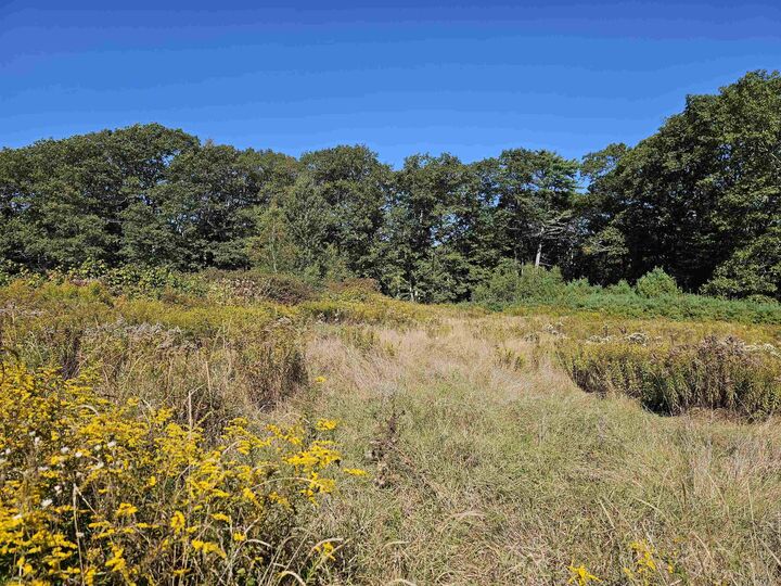 Property Photo:  0 Shaw Road  NH 03218 