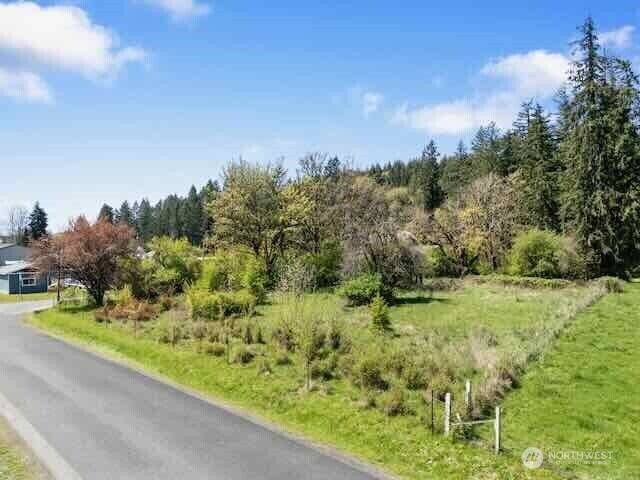 Property Photo: 0 SW Alder WA 98596