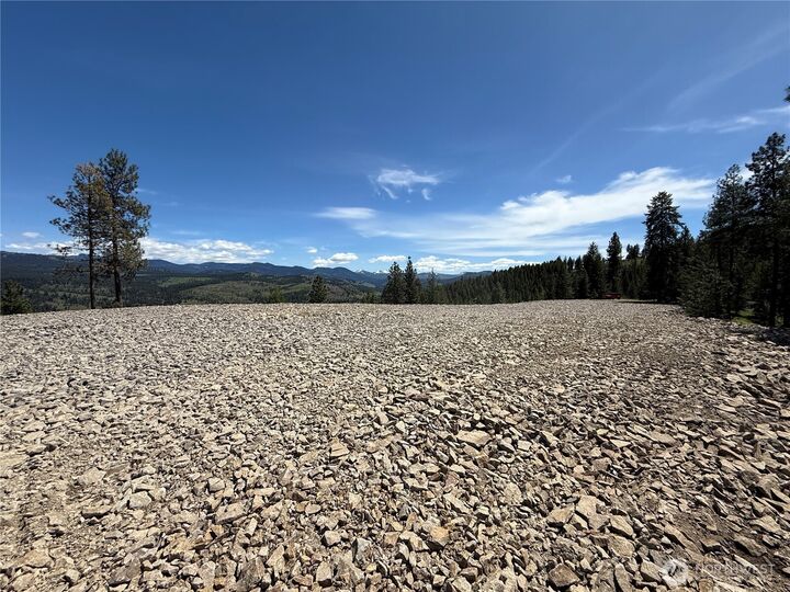 Property Photo:  113  Boulder Way  WA 99166 