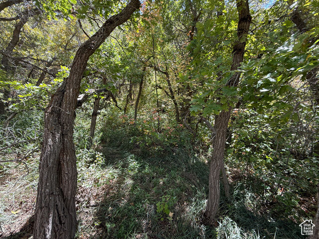 Property Photo:  13 E Birch Creek Dr S D13  UT 84629 