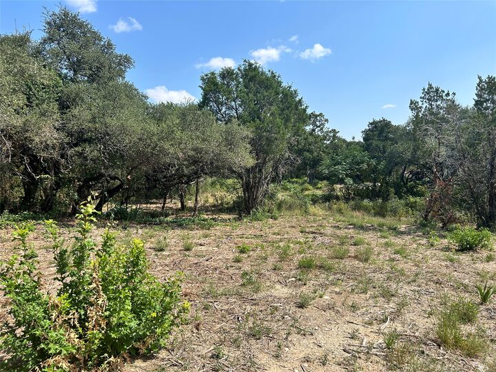 Property Photo:  18310 Austin Drive  TX 78645 