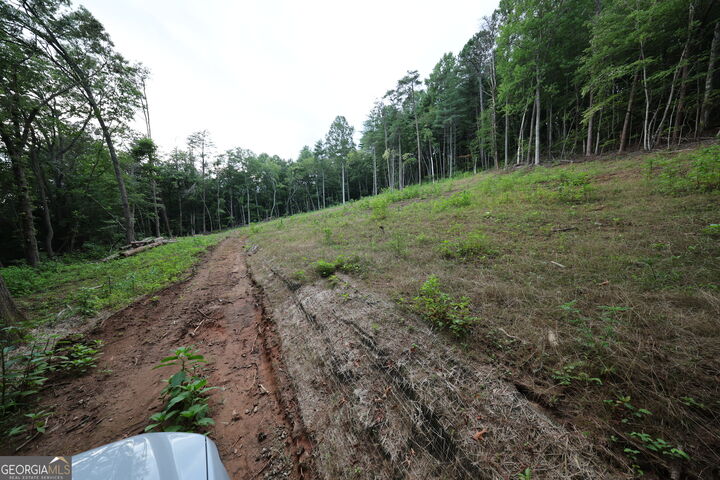 Property Photo:  0 John Beck Dockins  GA 30568 
